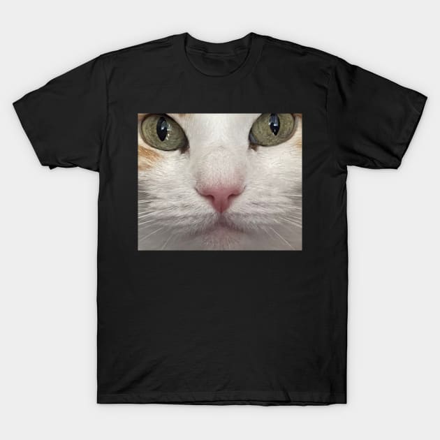 Cat Nap T-Shirt by The Orchard